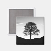 Sycamore Gap Magnet (Voorkant / Achterkant)