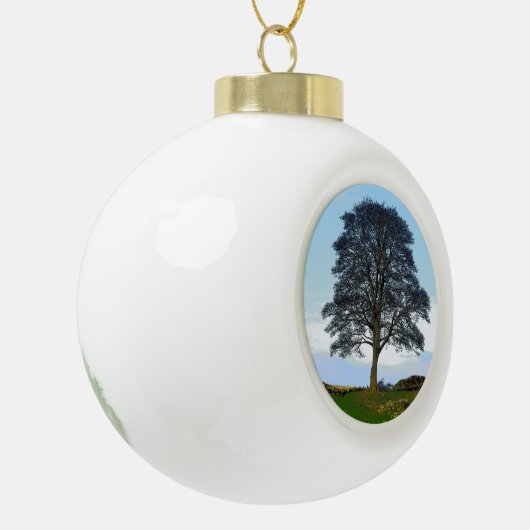 Sycamore Gap Ornament (Links)