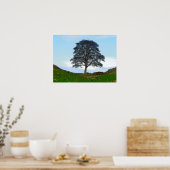 Sycamore Gap Poster/Print Poster (Keuken)