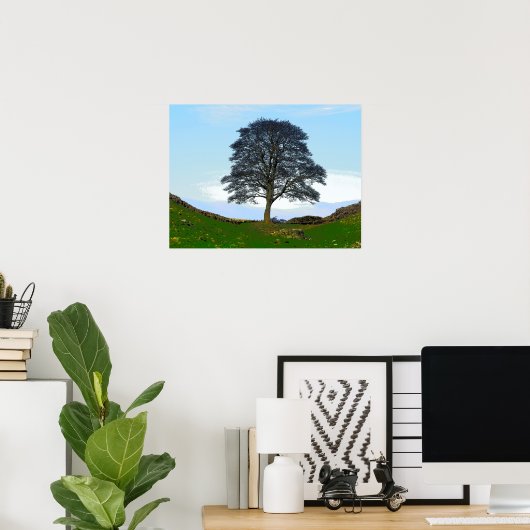 Sycamore Gap Poster/Print Poster (Thuiskantoor)