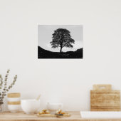 Sycamore Gap Poster/Print Poster (Keuken)