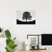 Sycamore Gap Poster/Print Poster (Thuiskantoor)