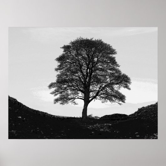Sycamore Gap Poster/Print Poster (Voorkant)
