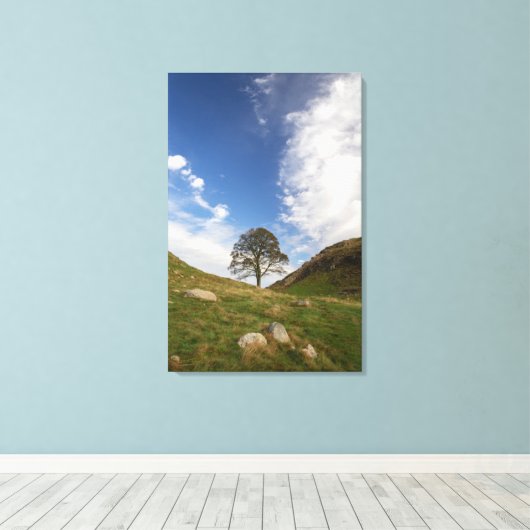 Sycamore Gap Stretched Canvas Print (Insitu (Houten vloer))
