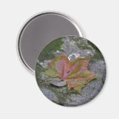 Sycamore Leaf Magneet (Voorkant / Achterkant)