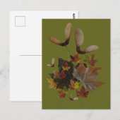 Sycamore Maple Leaves Collage DIY Briefkaart (Voorkant / Achterkant)