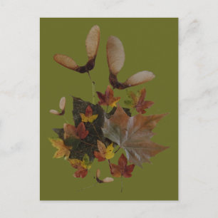 Sycamore Maple Leaves Collage DIY Briefkaart