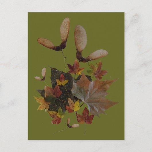 Sycamore Maple Leaves Collage DIY Briefkaart (Voorkant)