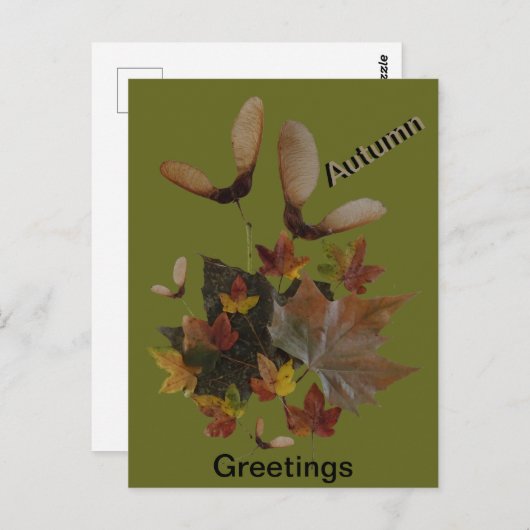 Sycamore Maple Leaves Collage HERFST Briefkaart (Voorkant / Achterkant)