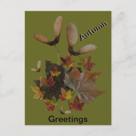 Sycamore Maple Leaves Collage HERFST Briefkaart