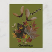 Sycamore Maple Leaves Collage HERFST Briefkaart (Voorkant)