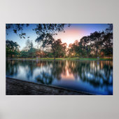 Sycamore Pool Poster (Voorkant)