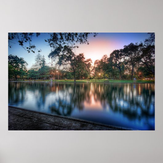 Sycamore Pool Poster (Voorkant)