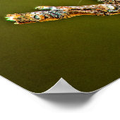 Sycamore Seed Ball Poster (Hoek)