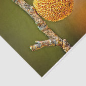 Sycamore Seed Ball Tissuepapier (Detail)