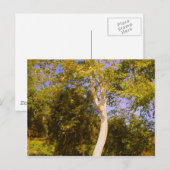 Sycamore-structuur Briefkaart (Voorkant / Achterkant)