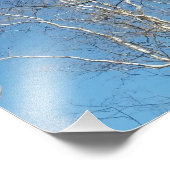 Sycamore-structuur Foto Afdruk (Hoek)