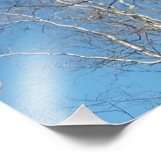 Sycamore-structuur Foto Afdruk (Hoek)