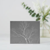 Sycamore-structuur tegen Winter Sky-items Briefkaart (Staand voorkant)