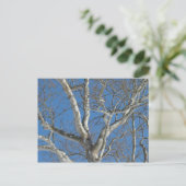 Sycamore-structuur tegen Winter Sky-items Briefkaart (Staand voorkant)