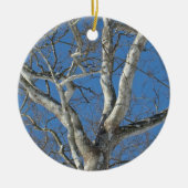 Sycamore-structuur tegen Winter Sky-items Keramisch Ornament (Voorkant)