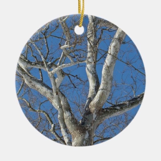 Sycamore-structuur tegen Winter Sky-items Keramisch Ornament (Voorkant)