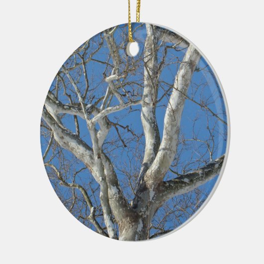 Sycamore-structuur tegen Winter Sky-items Keramisch Ornament (Links)