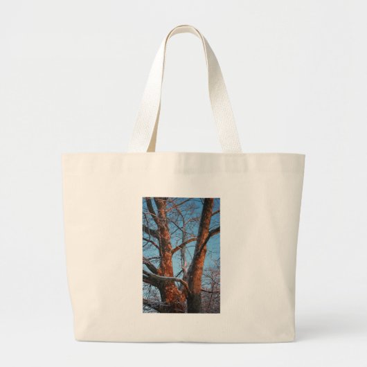 Sycamore Sunrise Grote Tote Bag (Voorkant)