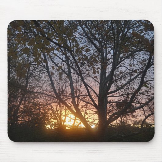 Sycamore Sunrise Muismat (Voorkant)