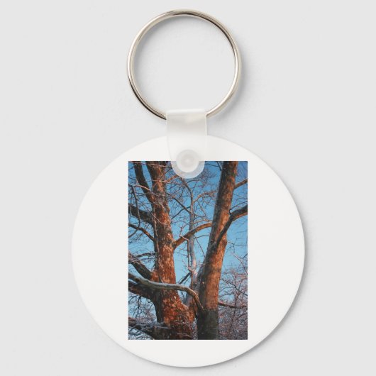 Sycamore Sunrise Sleutelhanger (Voorkant)