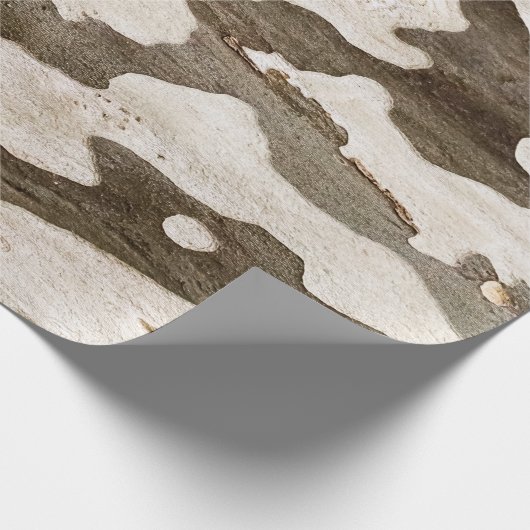 Sycamore Tree Bark Cadeaupapier (Hoek)