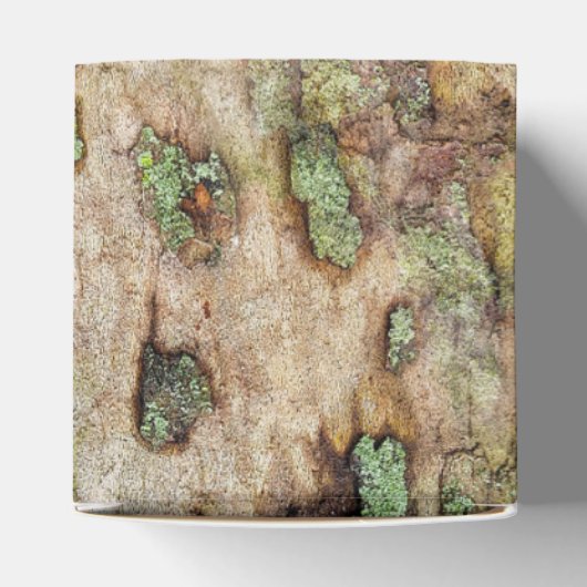 Sycamore Tree Bark Moss Lichen Bedankdoosjes (Bovenkant)