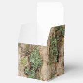 Sycamore Tree Bark Moss Lichen Bedankdoosjes (Geopend)