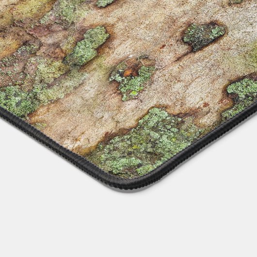 Sycamore Tree Bark Moss Lichen Bureaumat (Hoek)