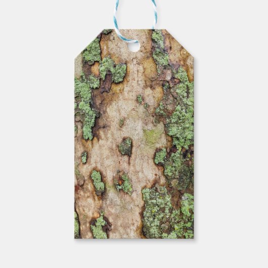 Sycamore Tree Bark Moss Lichen Cadeaulabel (Voorkant)