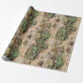 Sycamore Tree Bark Moss Lichen Cadeaupapier (Uitgerold)