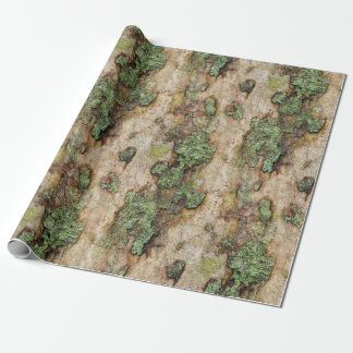 Sycamore Tree Bark Moss Lichen Cadeaupapier