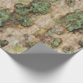 Sycamore Tree Bark Moss Lichen Cadeaupapier (Hoek)