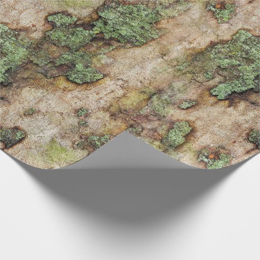Sycamore Tree Bark Moss Lichen Cadeaupapier (Hoek)