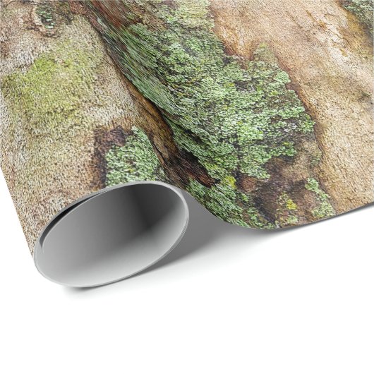 Sycamore Tree Bark Moss Lichen Cadeaupapier (Rol Hoek)