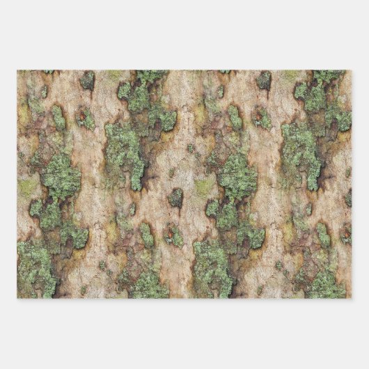 Sycamore Tree Bark Moss Lichen Inpakpapier Vel (Voorkant 2)