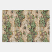 Sycamore Tree Bark Moss Lichen Inpakpapier Vel (Voorkant)