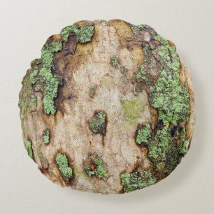 Sycamore Tree Bark Moss Lichen Rond Kussen