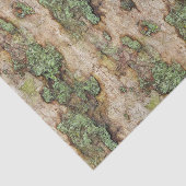Sycamore Tree Bark Moss Lichen Tissuepapier (Detail)