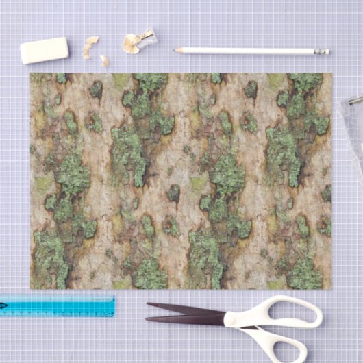 Sycamore Tree Bark Moss Lichen Tissuepapier (Craft)