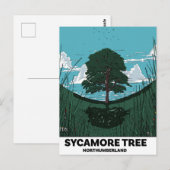Sycamore Tree Gap Briefkaart (Voorkant / Achterkant)