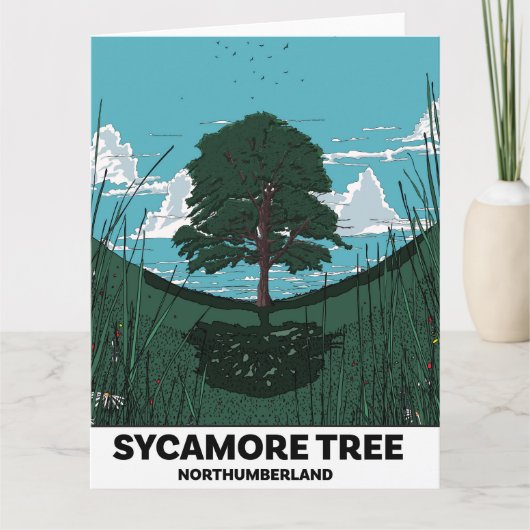 Sycamore Tree Gap Kaart (Voorkant)