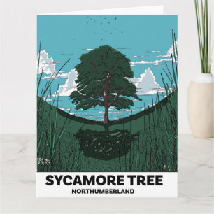 Sycamore Tree Gap Kaart