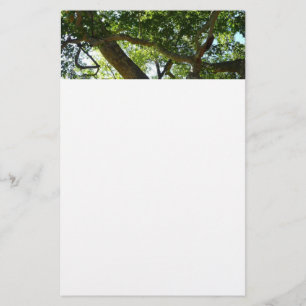 Sycamore Tree Green-Natuur Briefpapier