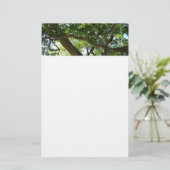 Sycamore Tree Green-Natuur Briefpapier (Staand voorkant)